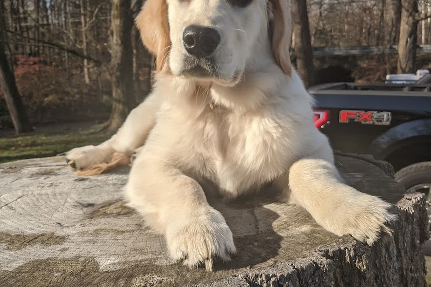 Brookside Animal Hospital