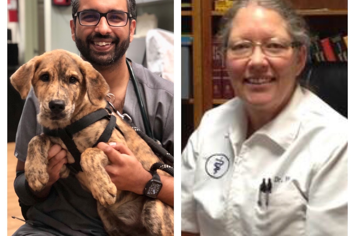 Plaza Boulevard Pet Hospital