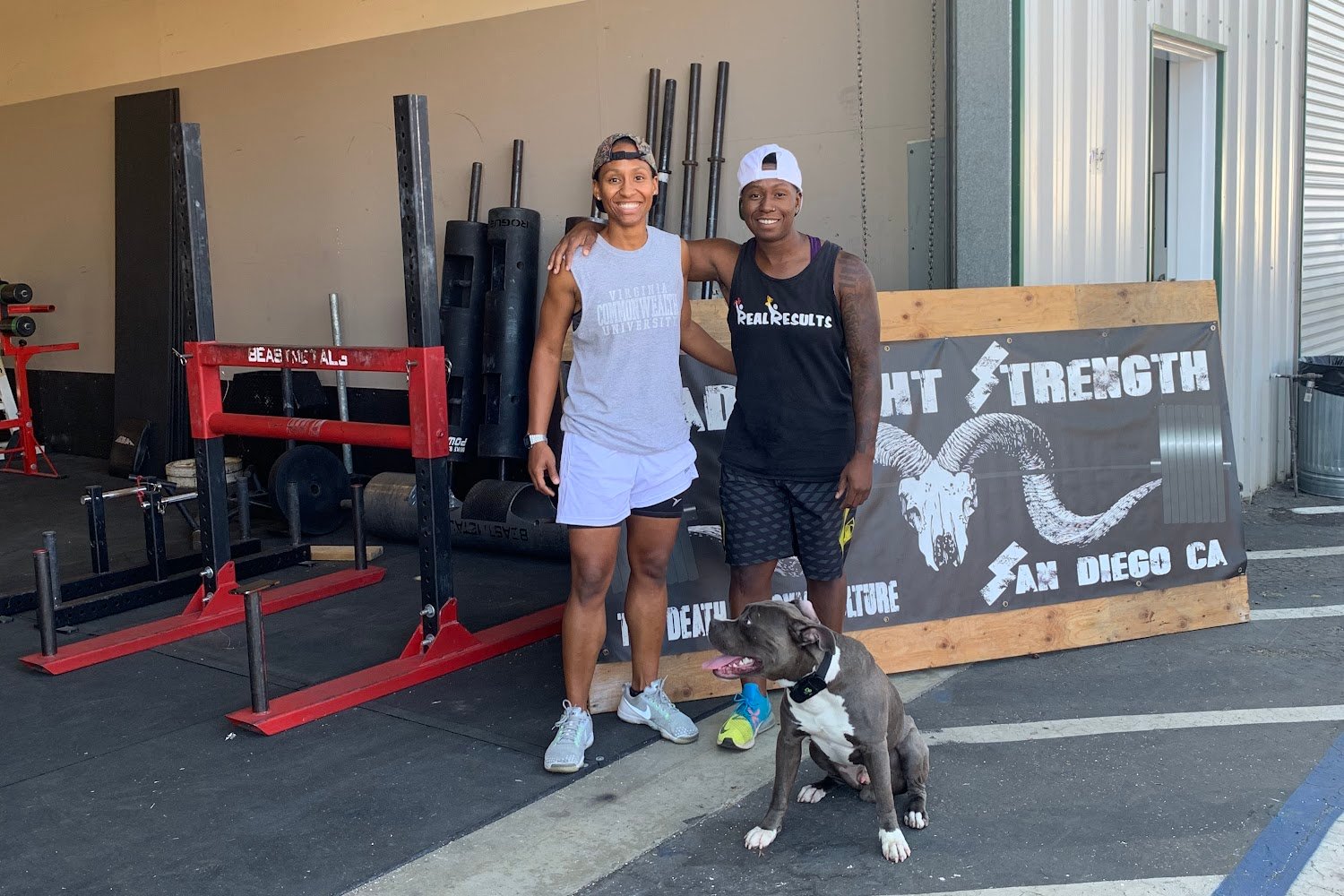 ABC Veterinary Hospitals