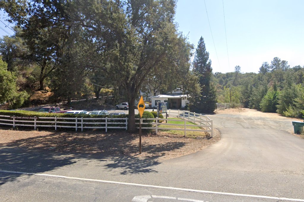 Slate Creek Animal Hospital