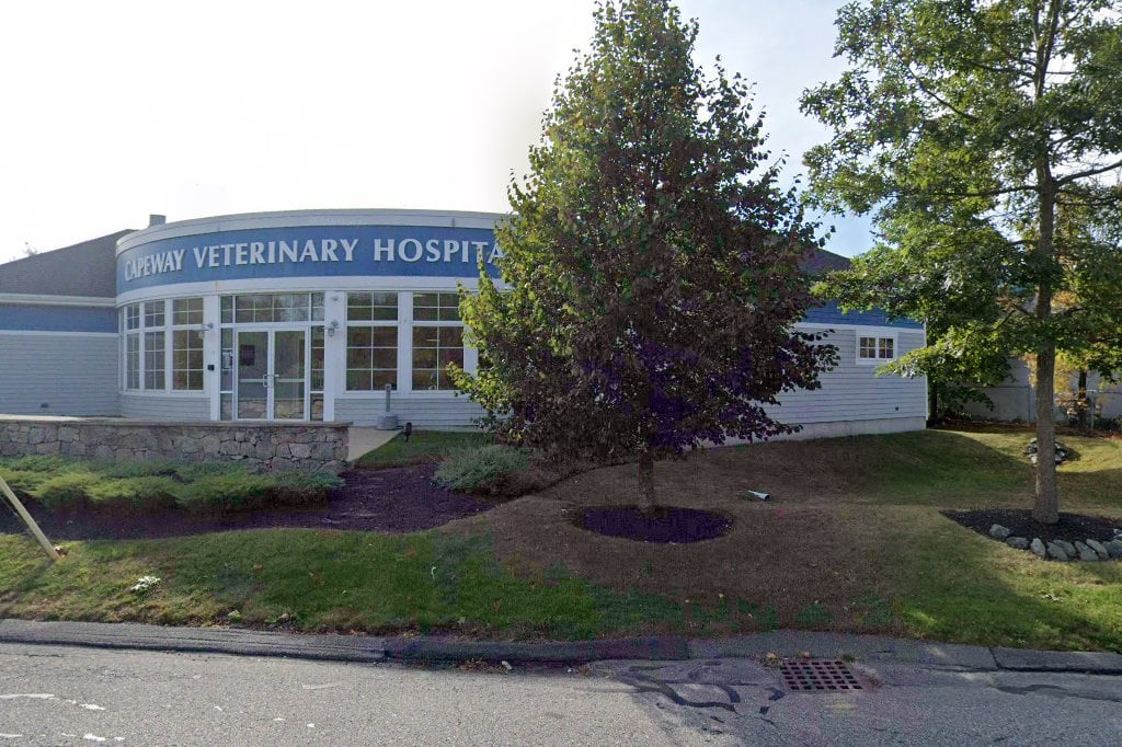 Capeway Veterinary Hospital