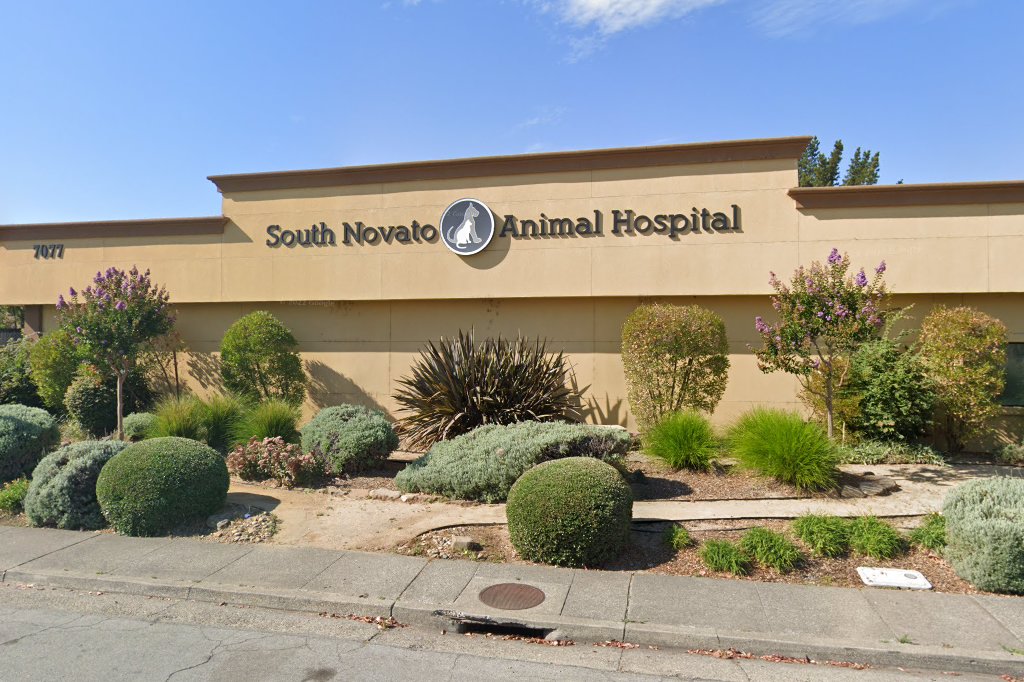South Novato Animal Hospital
