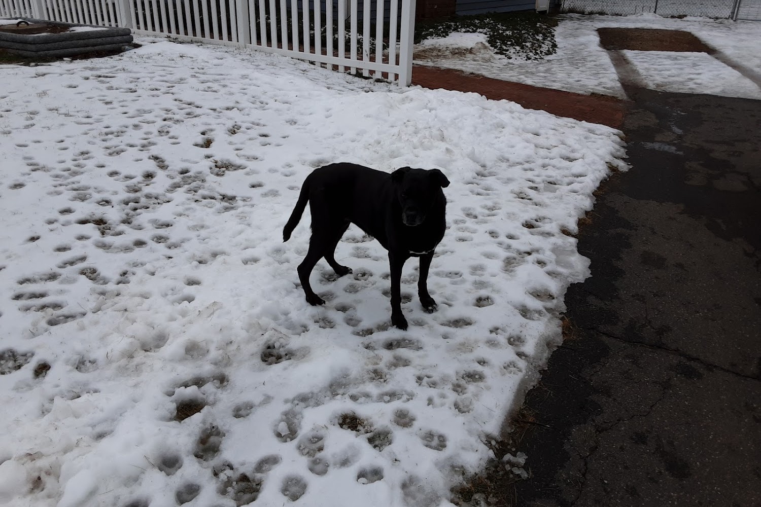 Belchertown Veterinary Hospital