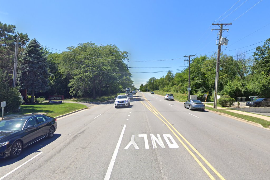 Park Ridge Animal Hospital