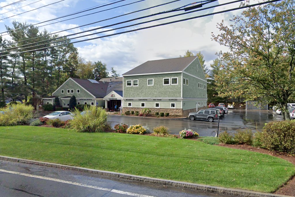 Countryside Veterinary