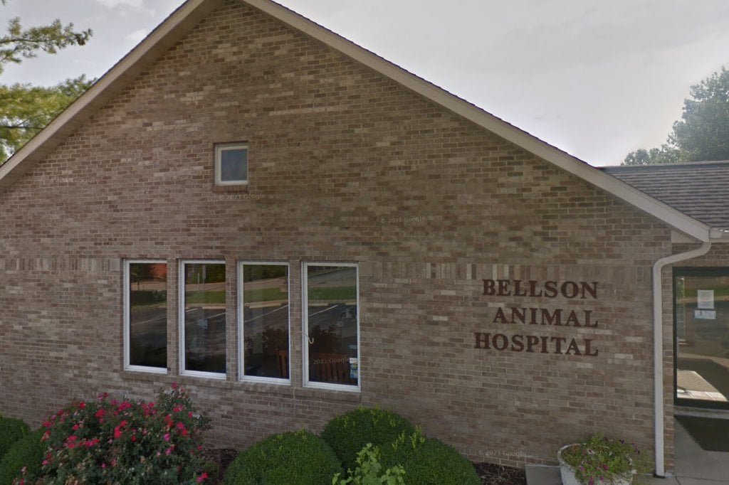 Bellson Animal Hospital