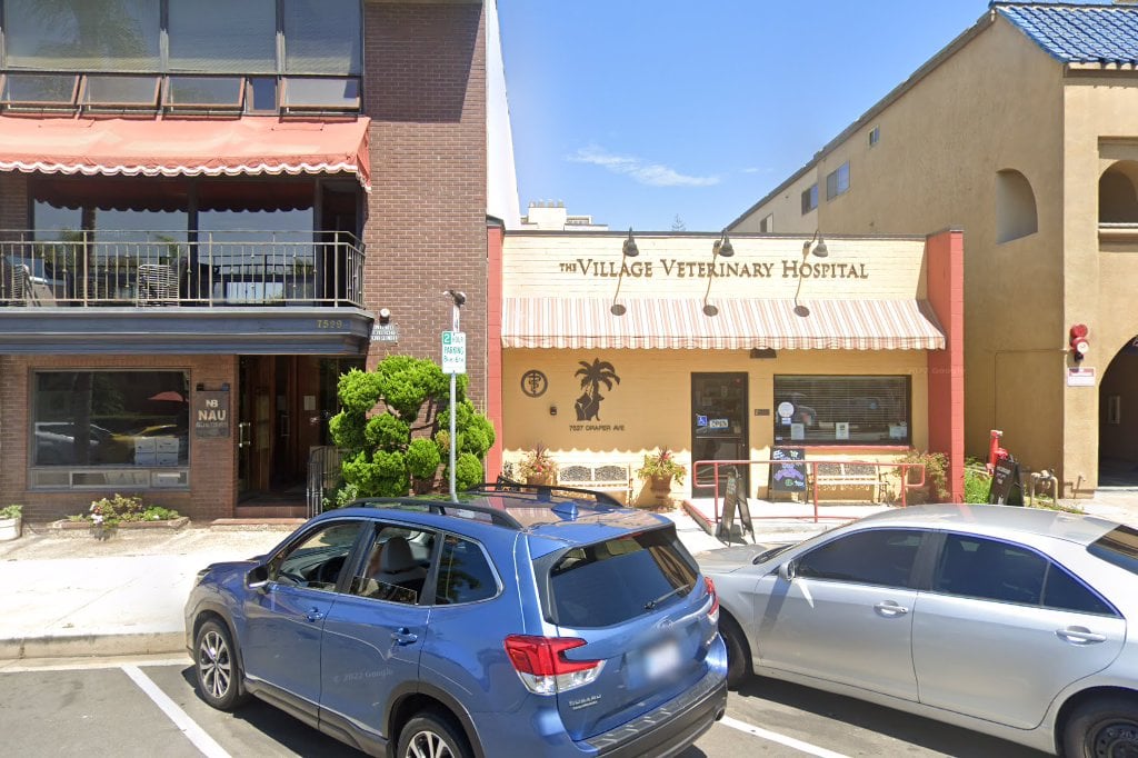 Village Veterinary Hospital