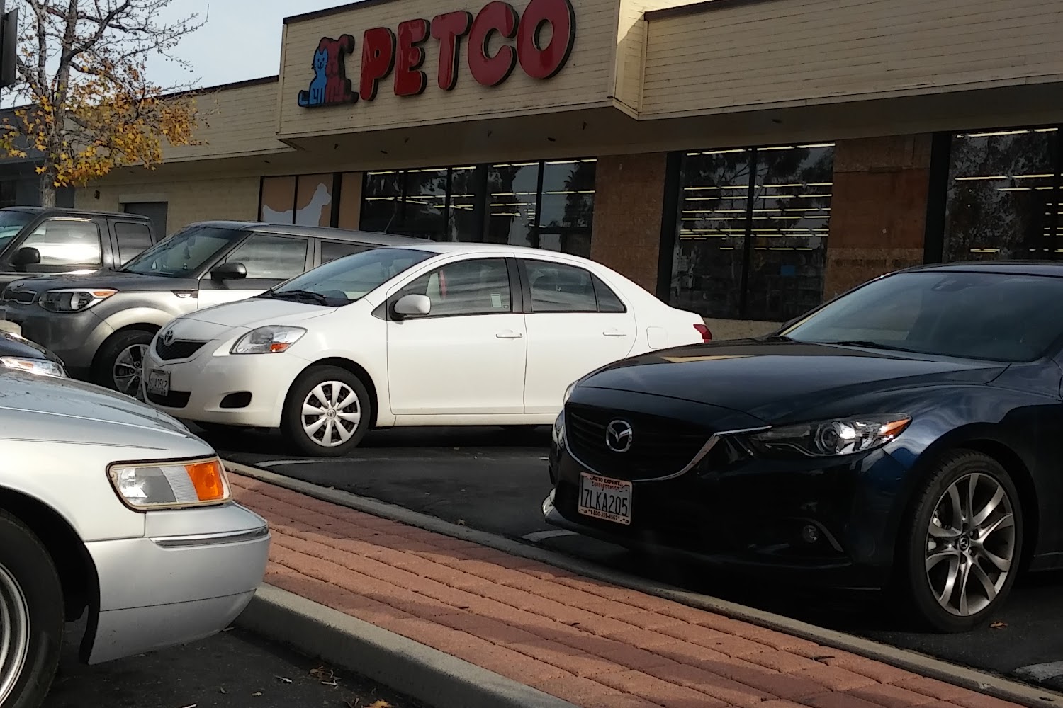 Vetco Animal Hospital