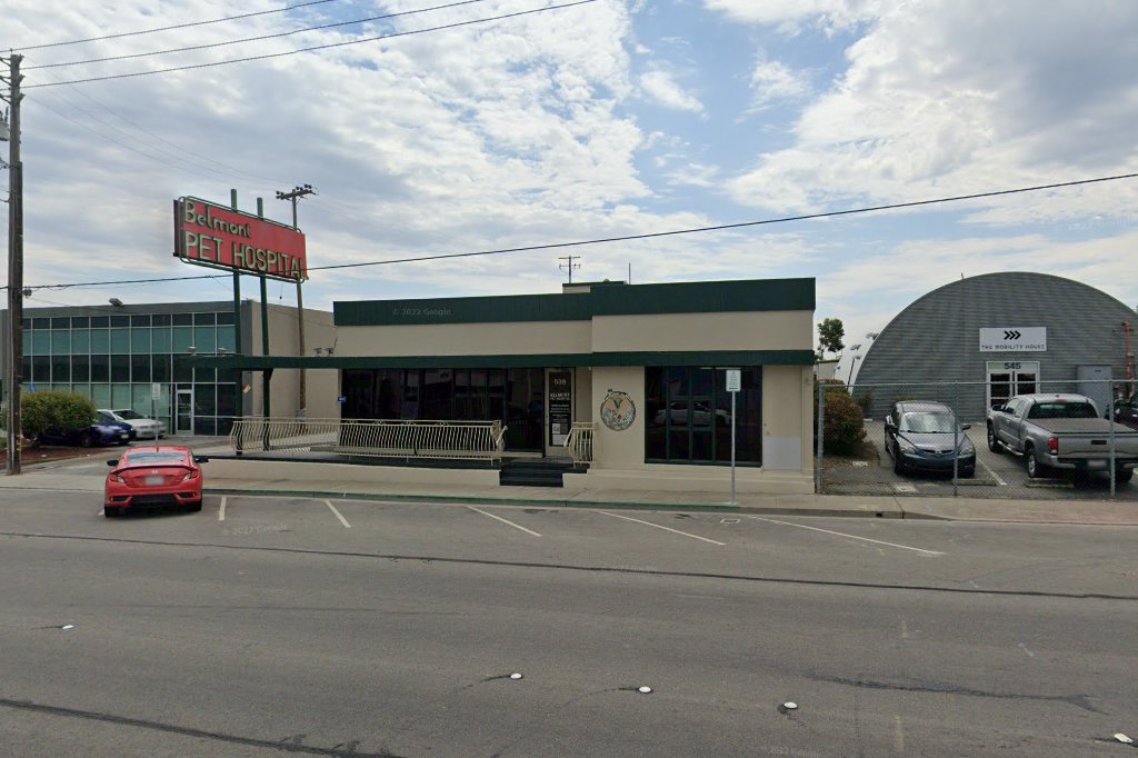 Belmont Pet Hospital