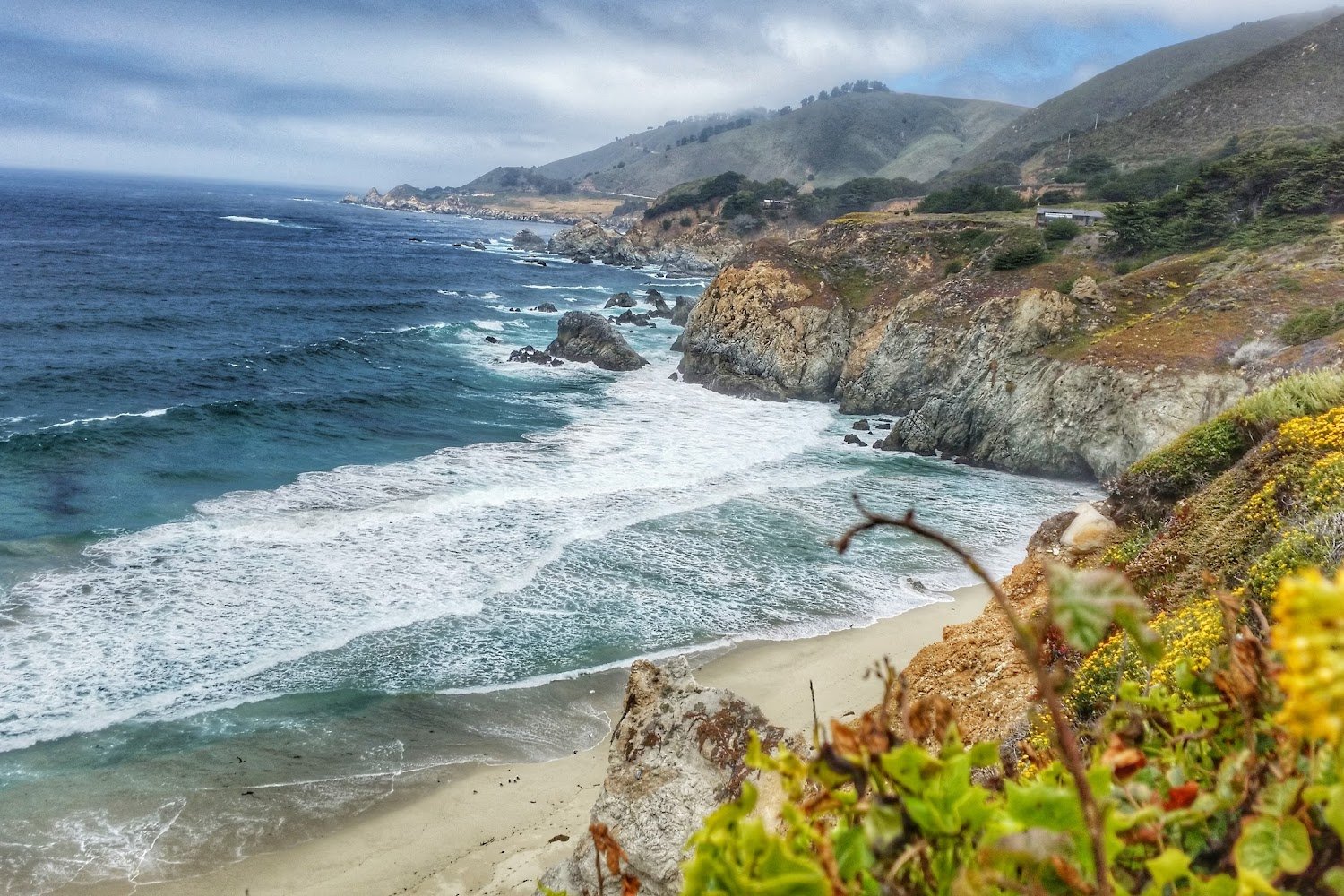 Belmont Shore Veterinary Hospital