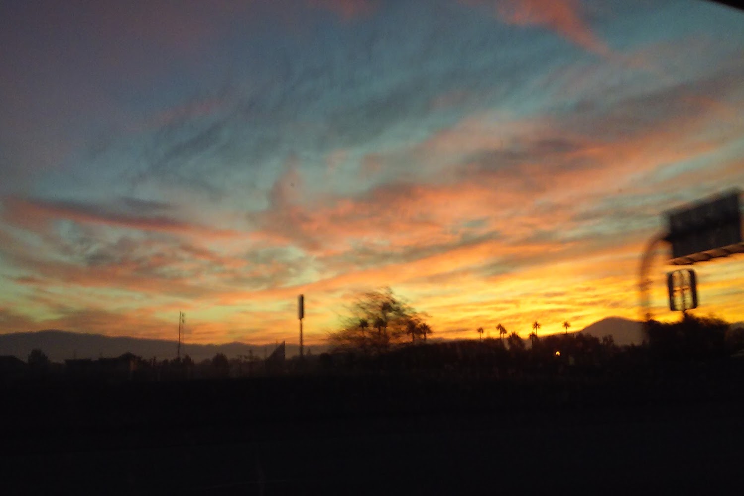 Alpha Canine Sanctuary