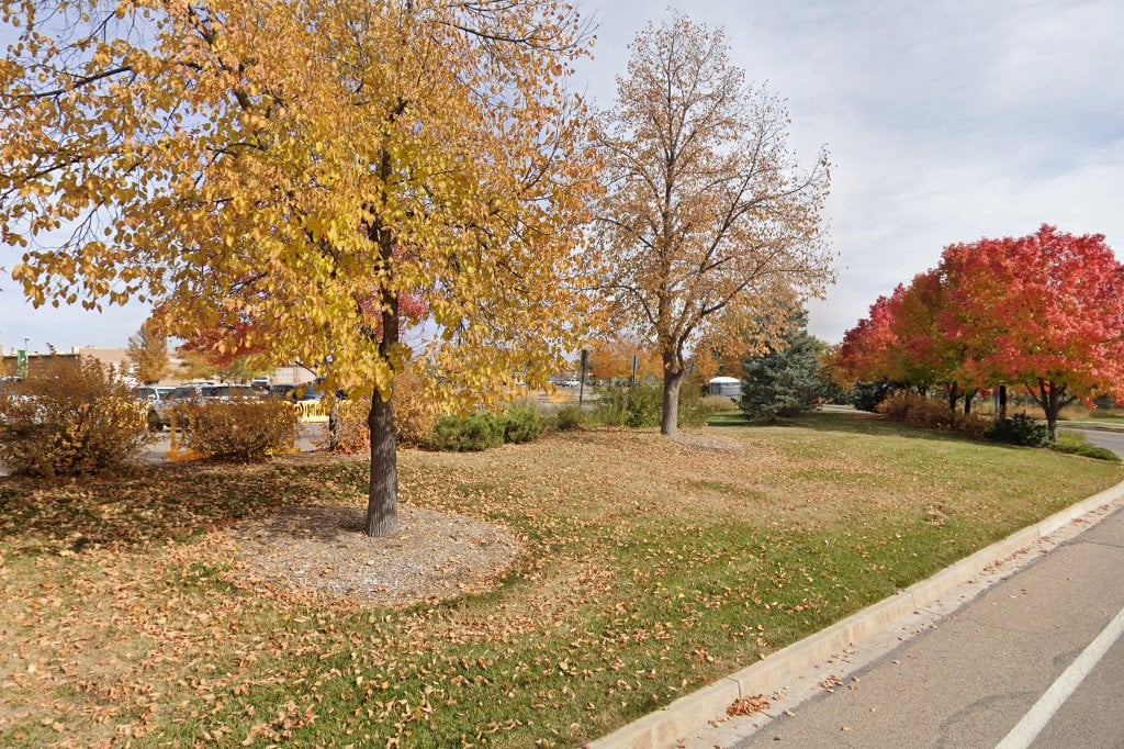 Colorado State University Veterinary Teaching Hospital