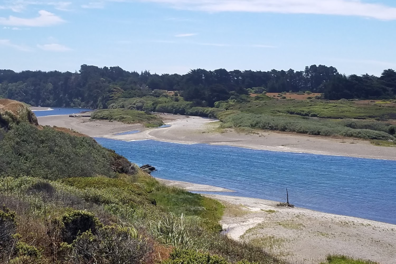 Redwood Coast Humane Society