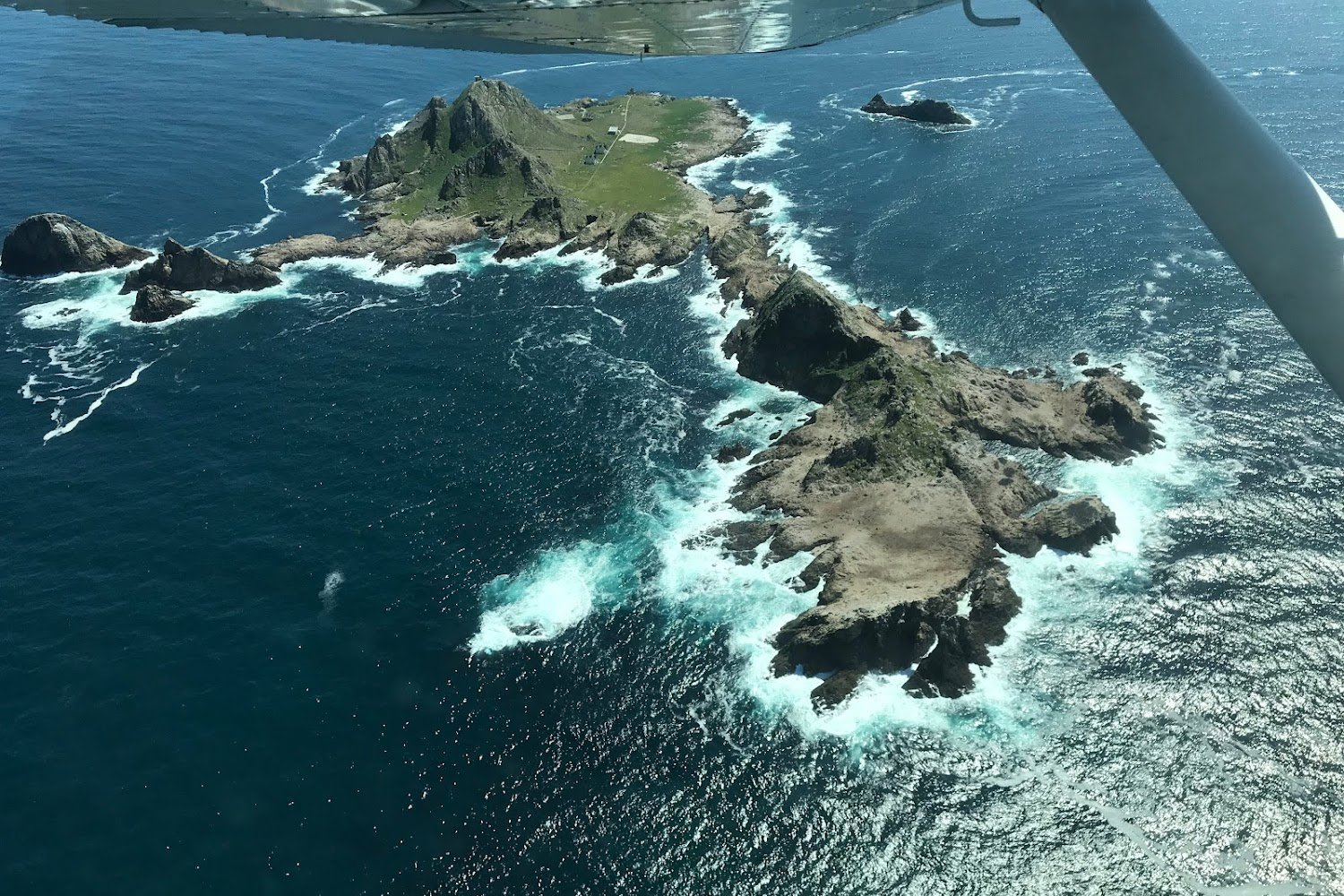 Friends of San Francisco Animal Care and Control