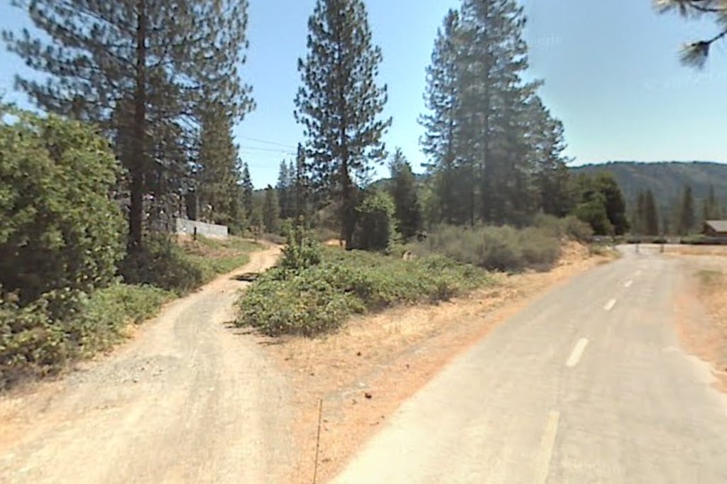 Trinity County Animal Control