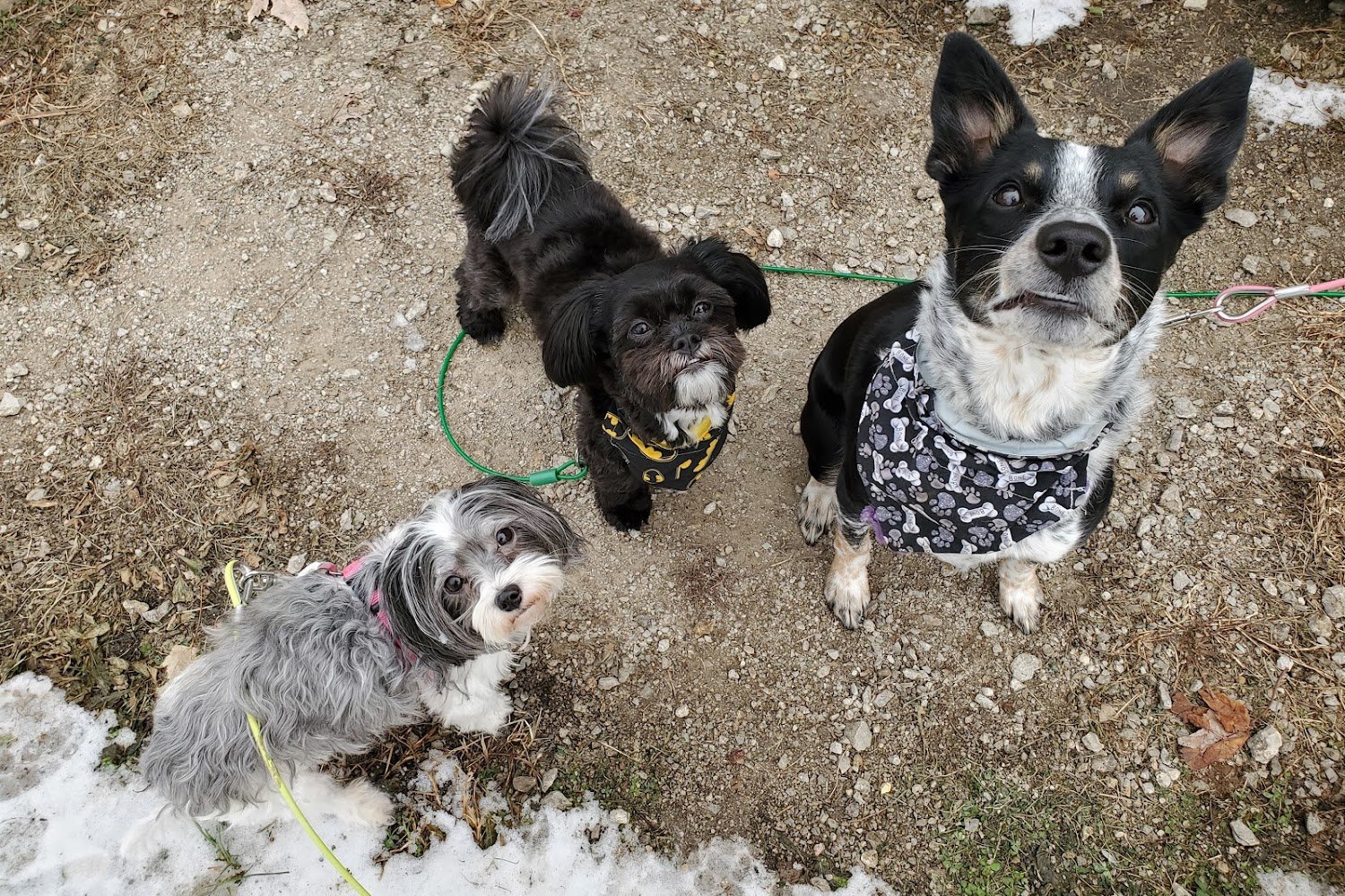 St Joseph Animal Hospital