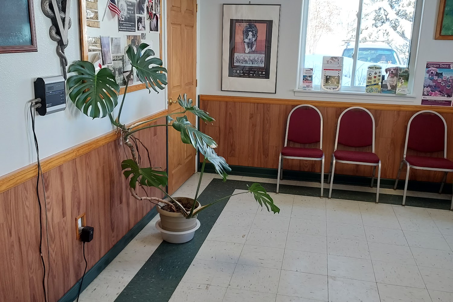 Craig Veterinary Hospital