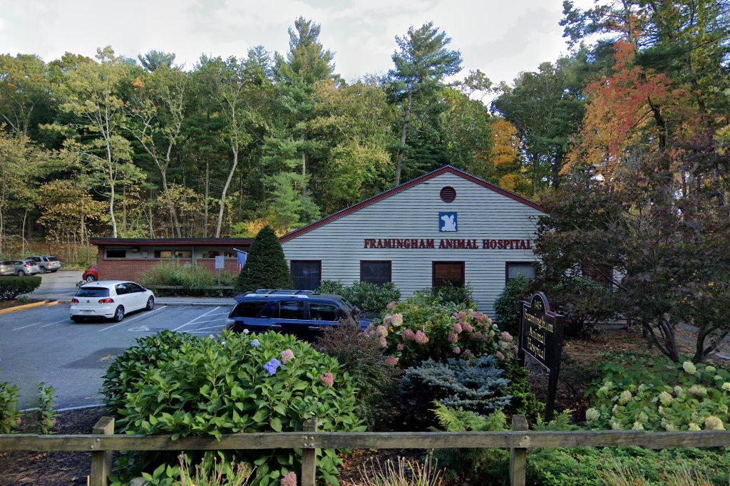 Framingham Animal Hospital
