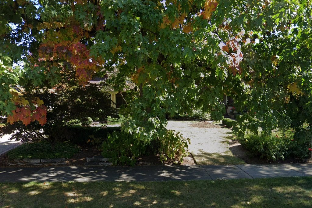 Homes for Endangered and Lost Pets