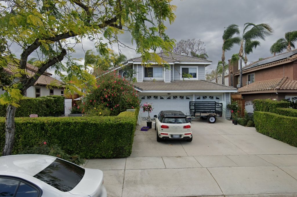 Cats in Need of Human Care