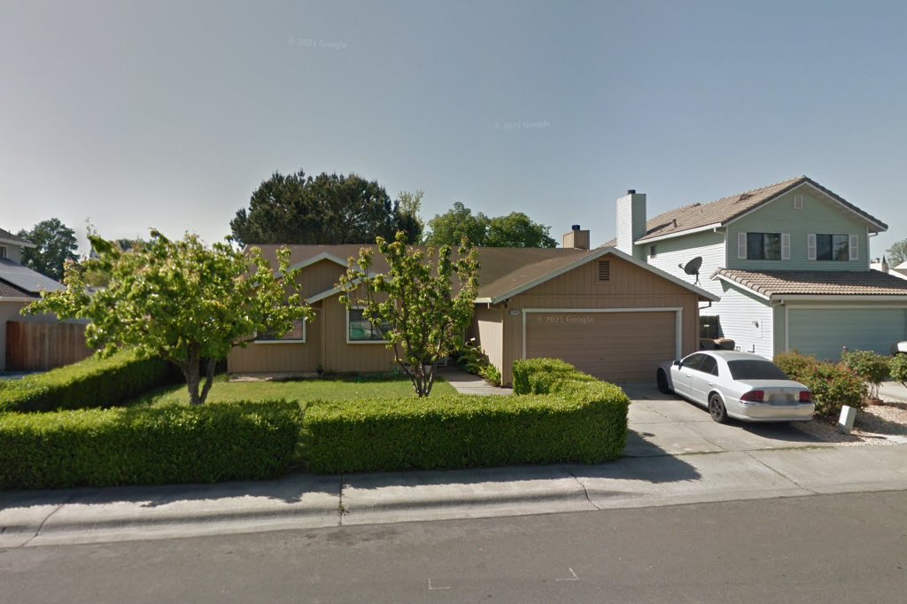 Uc Davis Shelter Dog Rescue Project