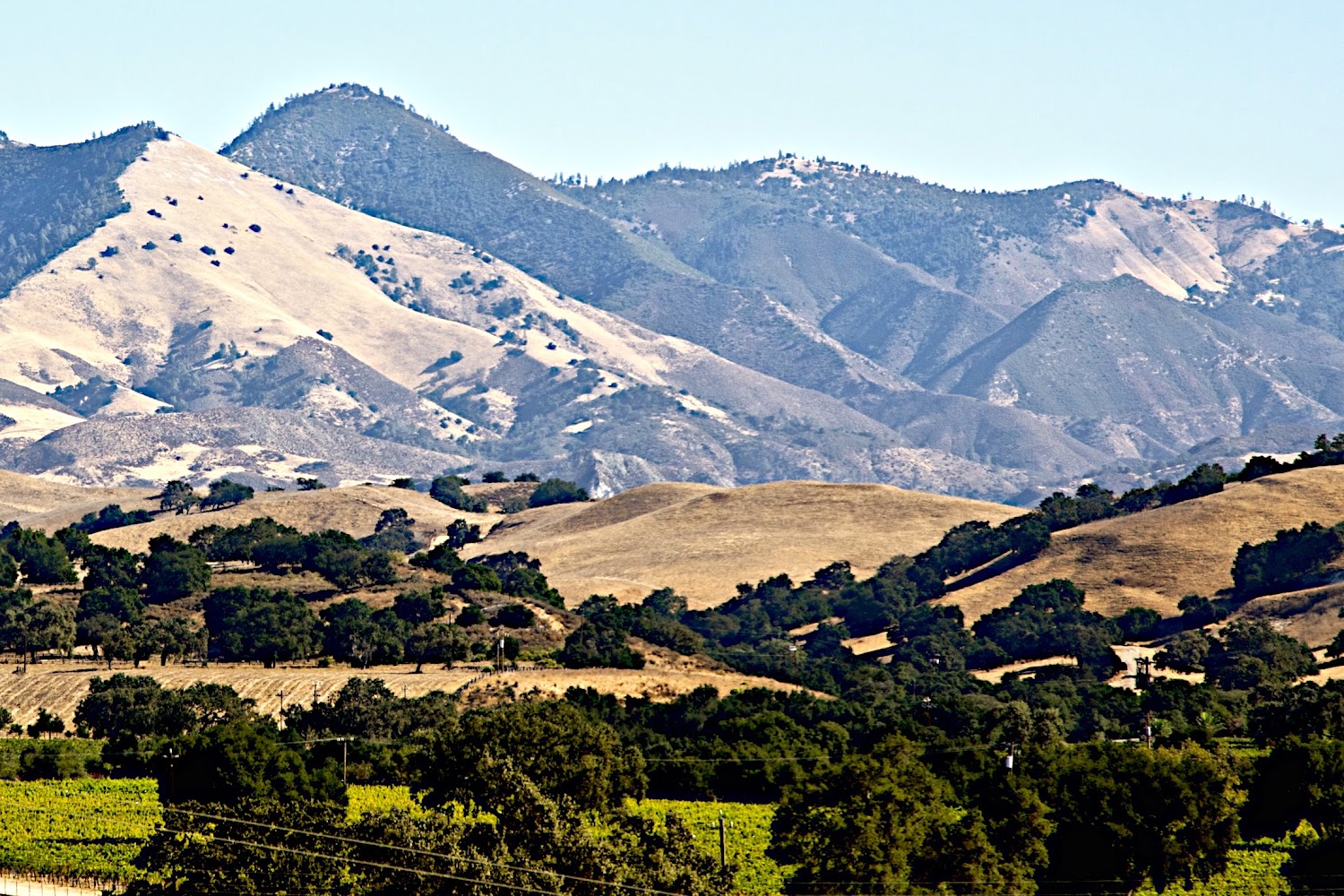 Animal Connection Referral Service