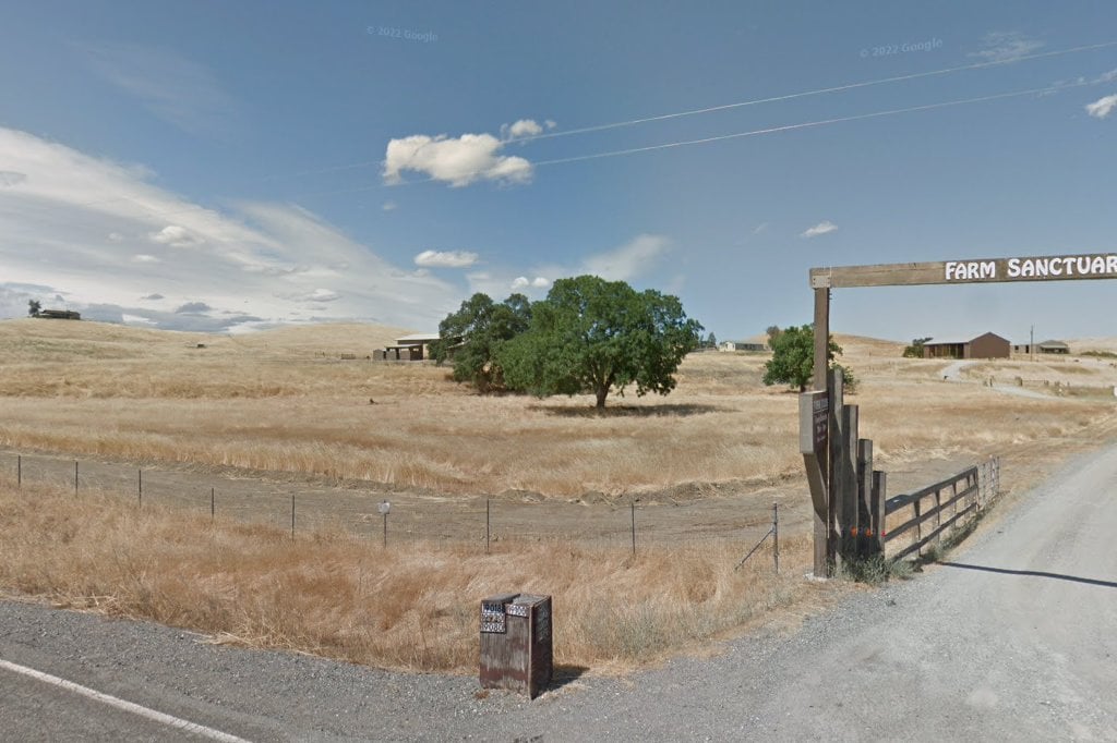 Community of Compassion for Animals