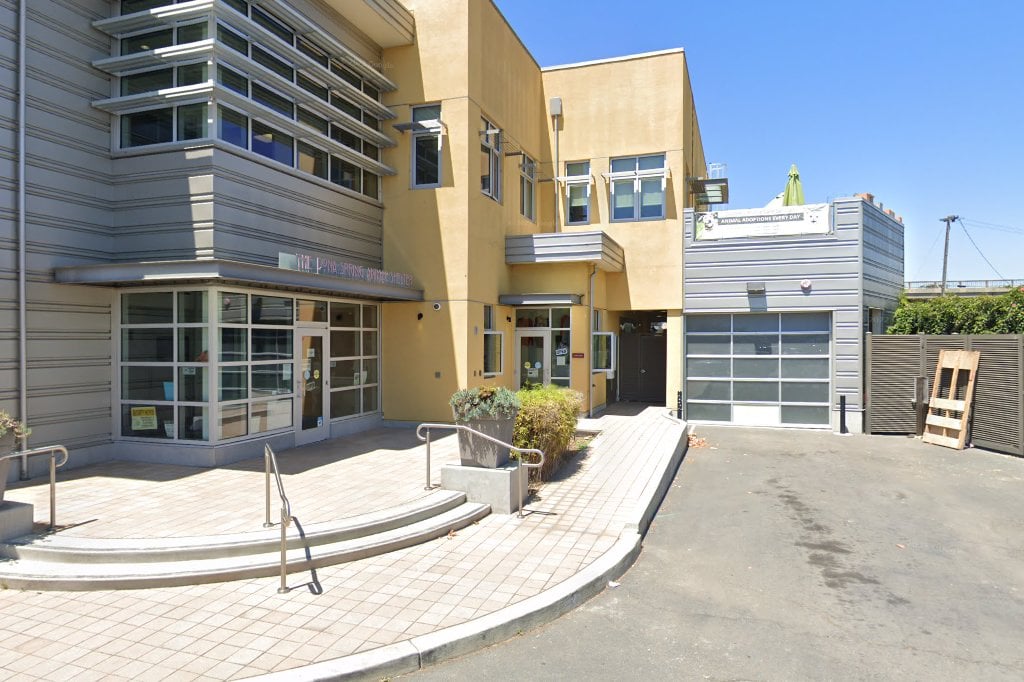 City of Berkeley: Animal Care Services