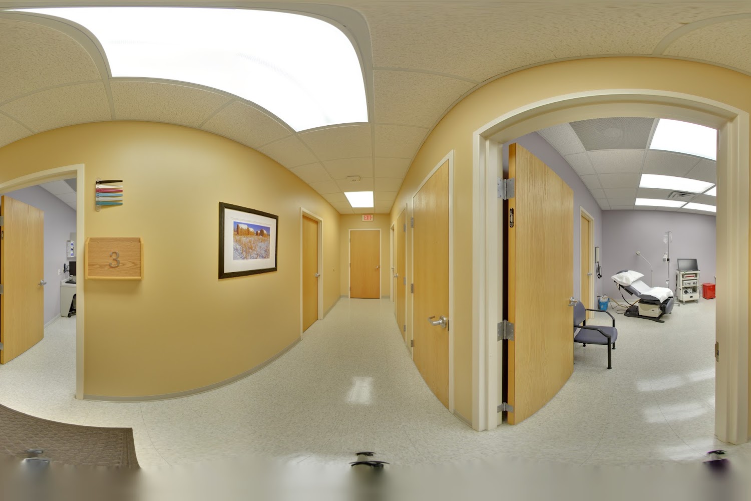 Lakewood Animal Hospital