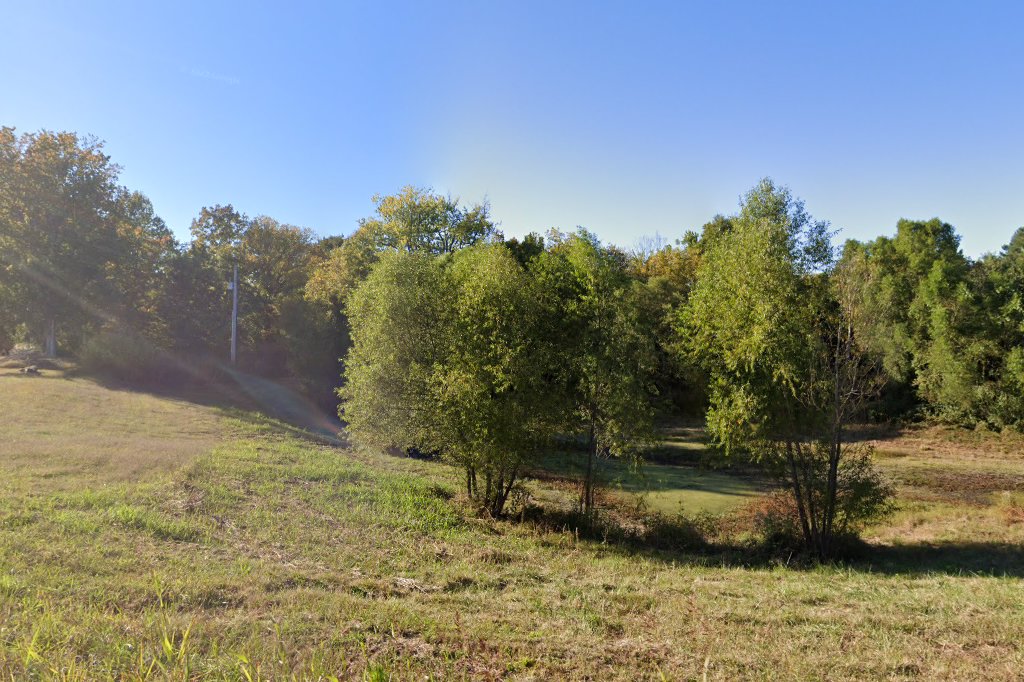 Buncombe Animal Control