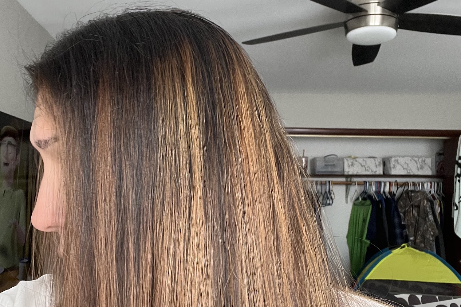 Millbrook Veterinary Hospital