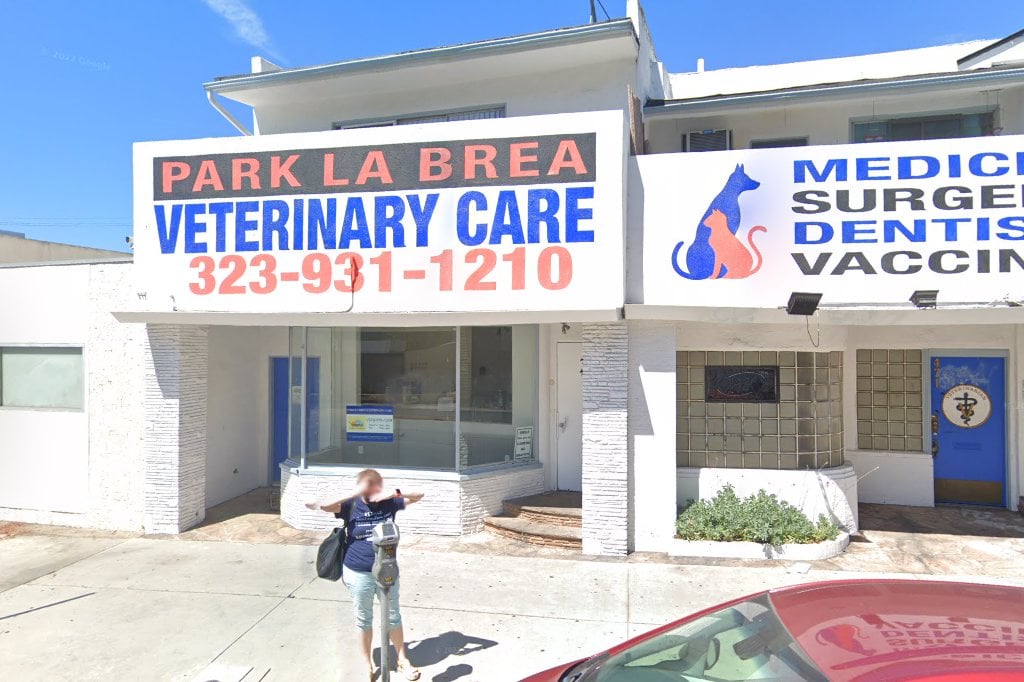 Cat and Dog Rescue Association