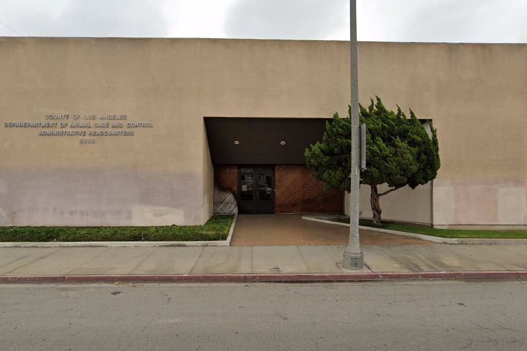 Los Angeles County Animal Control