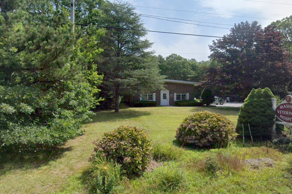 Mashpee Veterinary Hospital