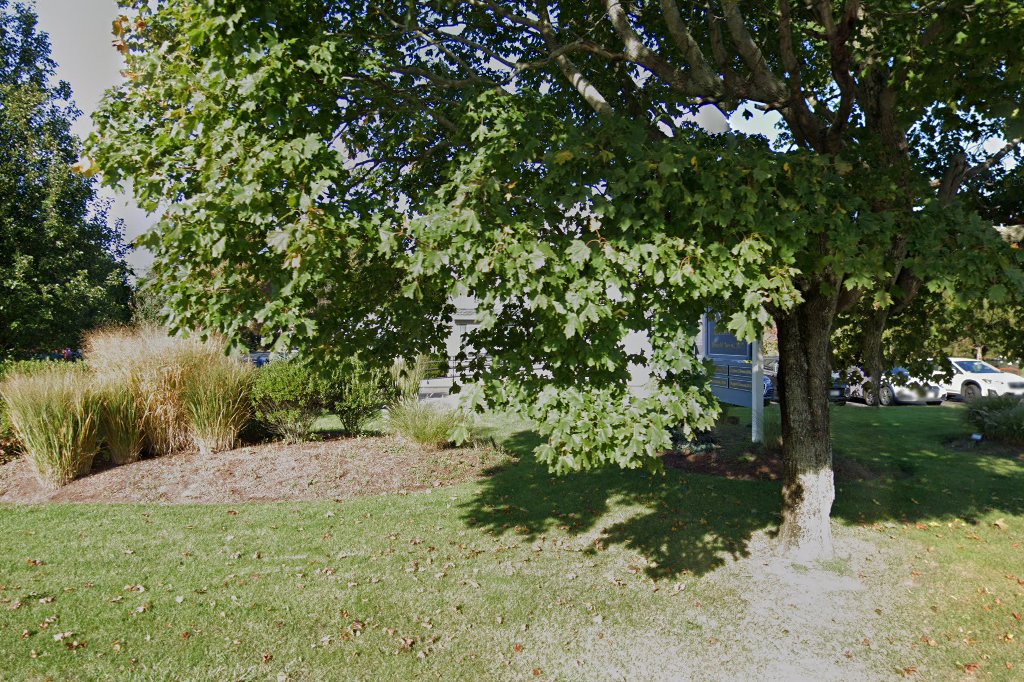 Marshfield Animal Hospital