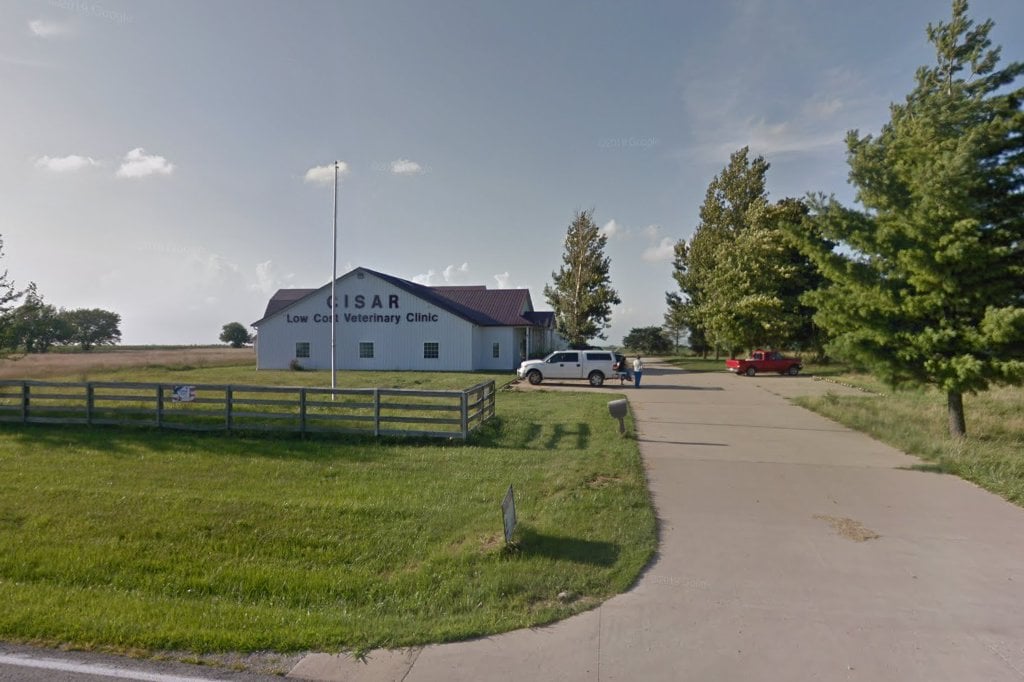 Central Illinois Small Animal