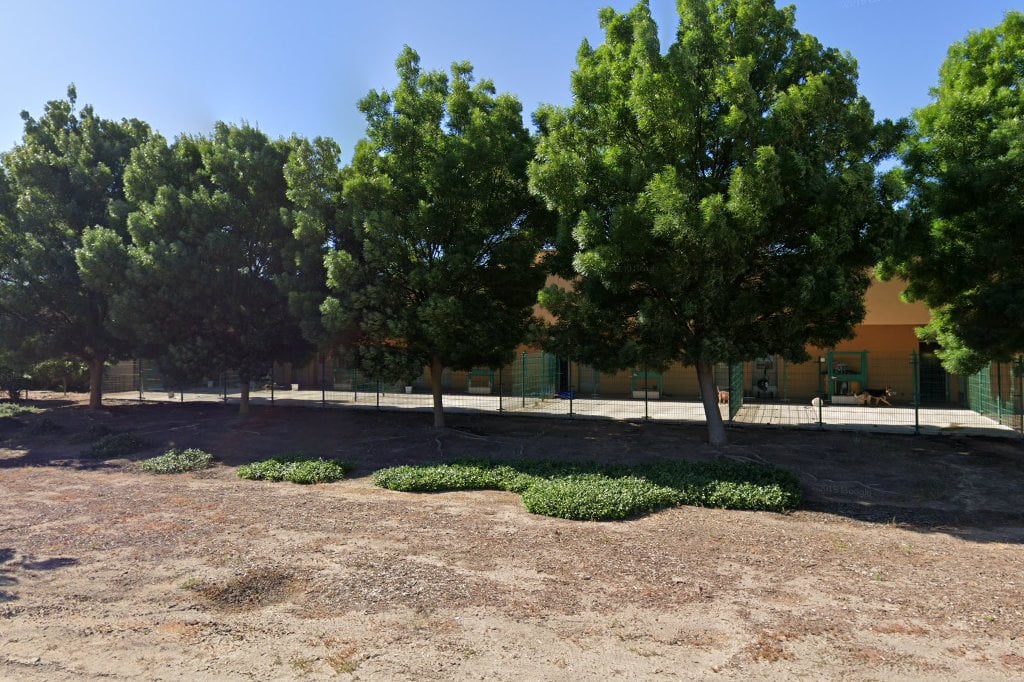 Merced County Animal Control