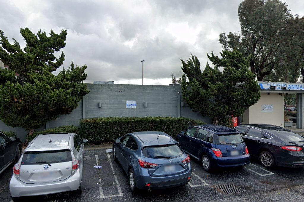 VCA Blossom Hill Animal Hospital