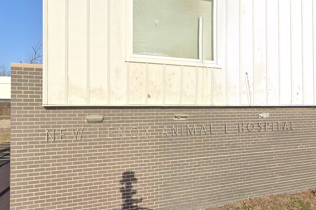 Animal Hospital At New Lenox