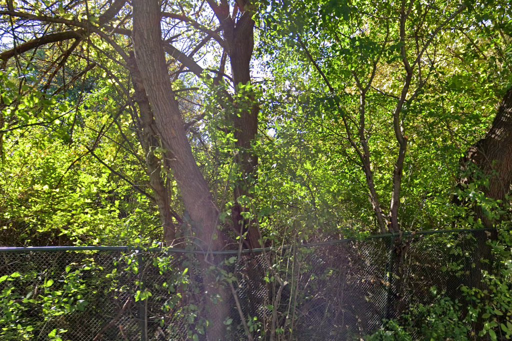 Christensen Animal Hospital