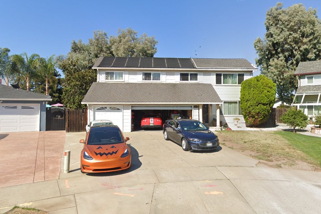 Mickaboo Companion Bird Rescue