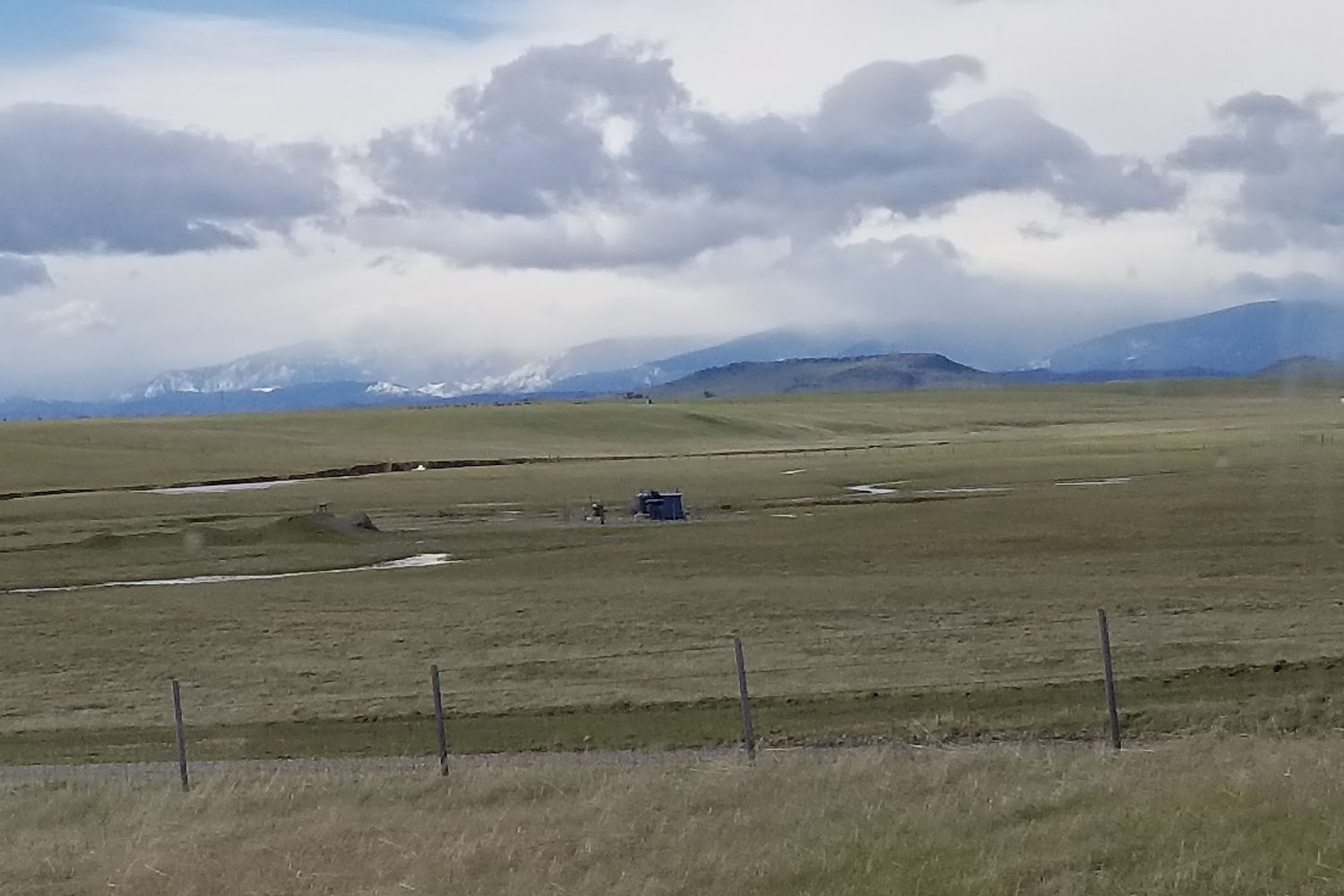 Second Chance Pet Rescue