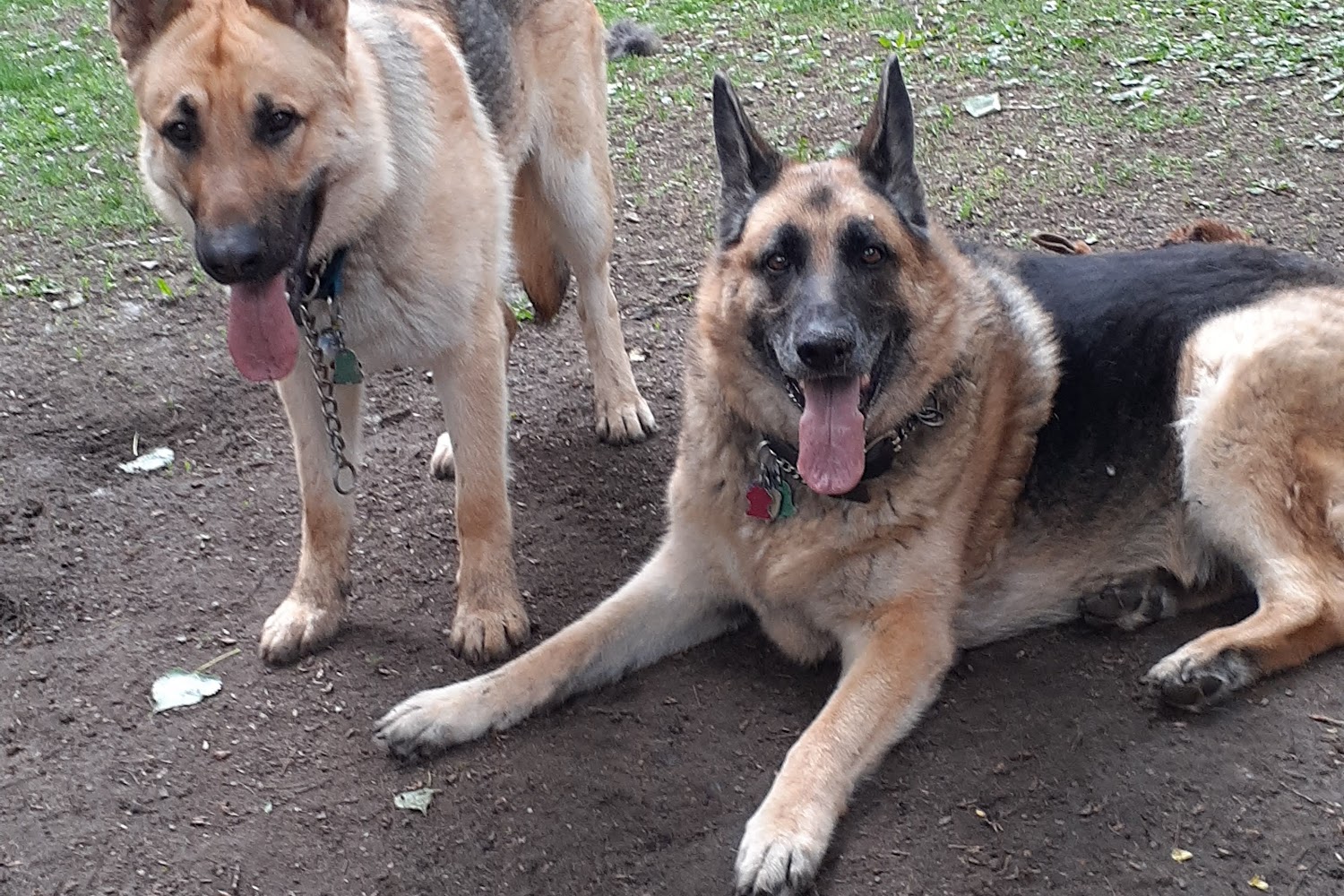 The Kelvar Edraith Fellowship