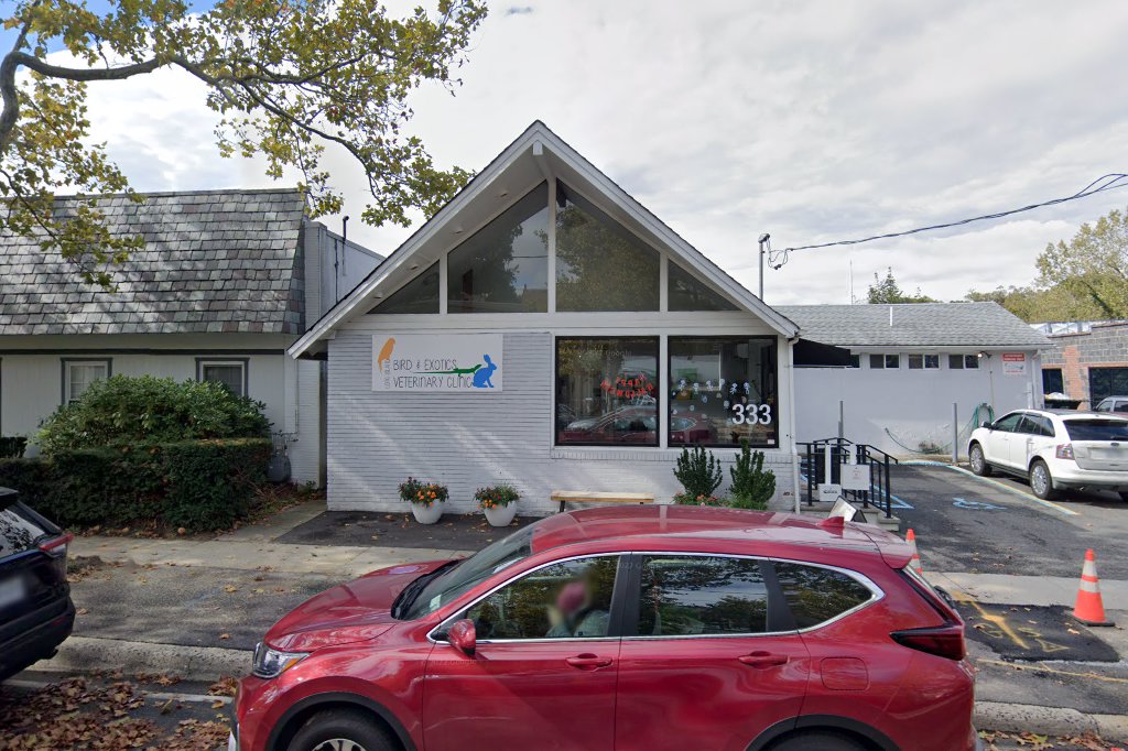 Great Neck Dog & Cat Hospital