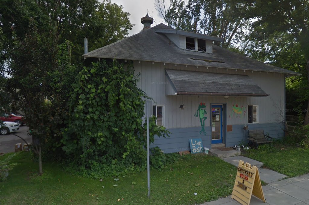 Windmill Animal Rescue