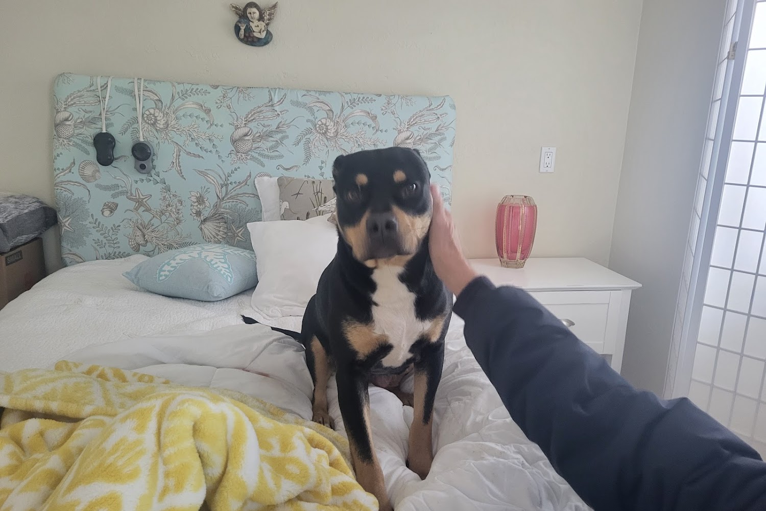 Del Norte County Weights/Msrs