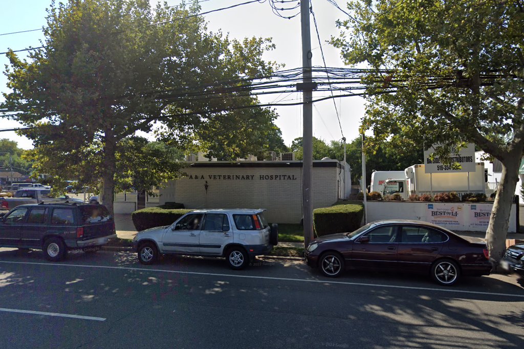 A & A Veterinary Hospital