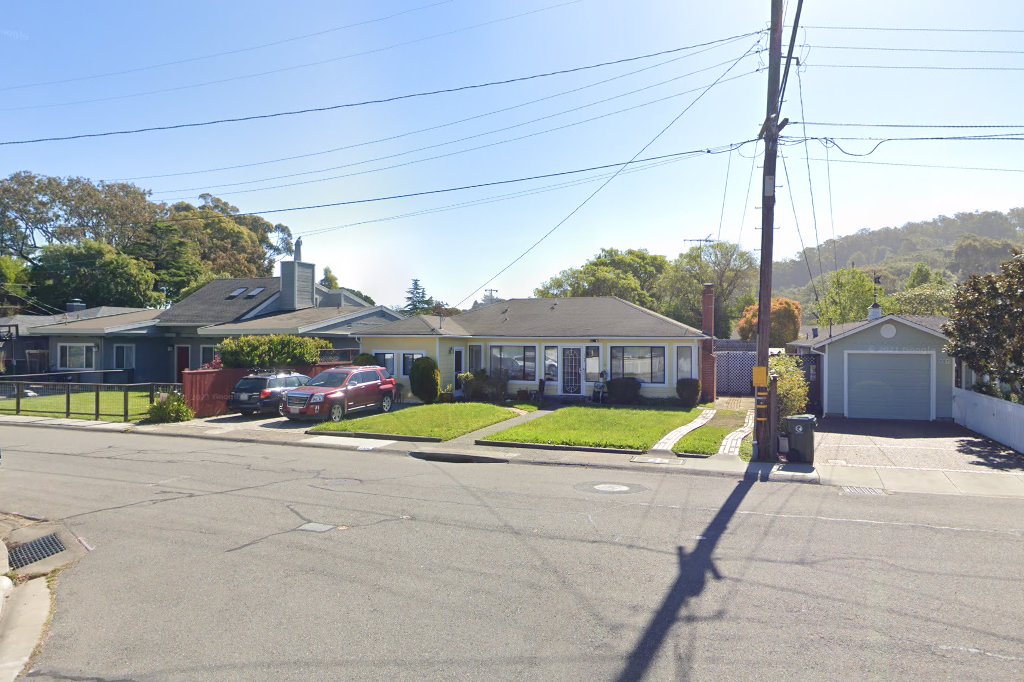 Persian & Himilyan Cat Rescue