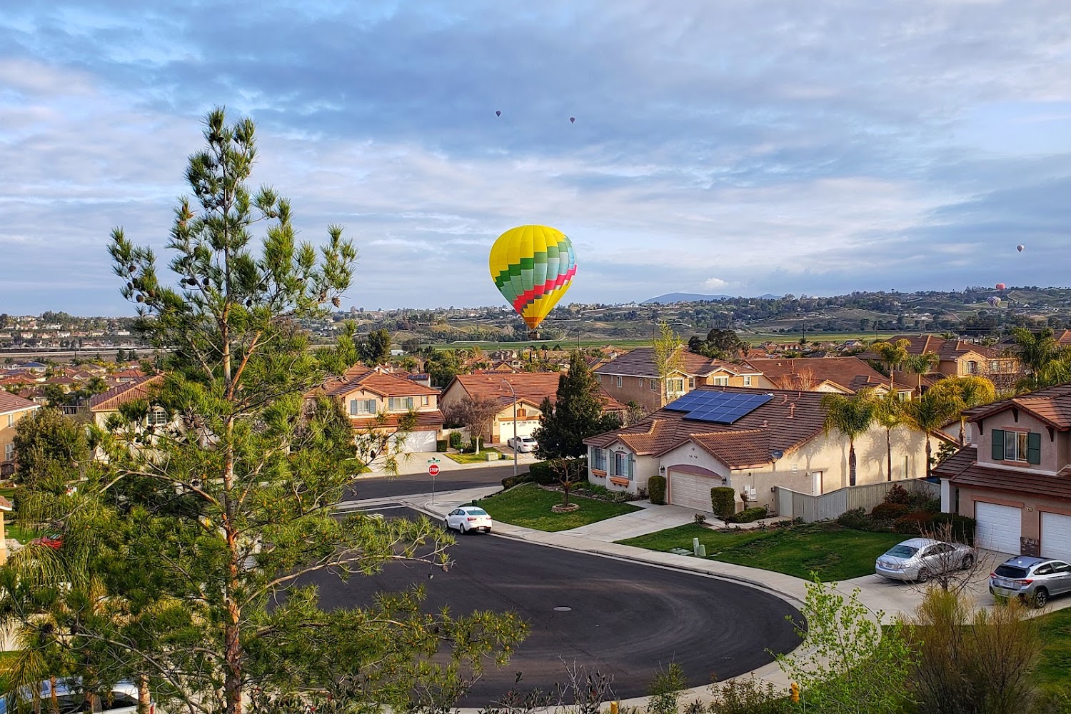 Benevolent Animal Rescue Committee