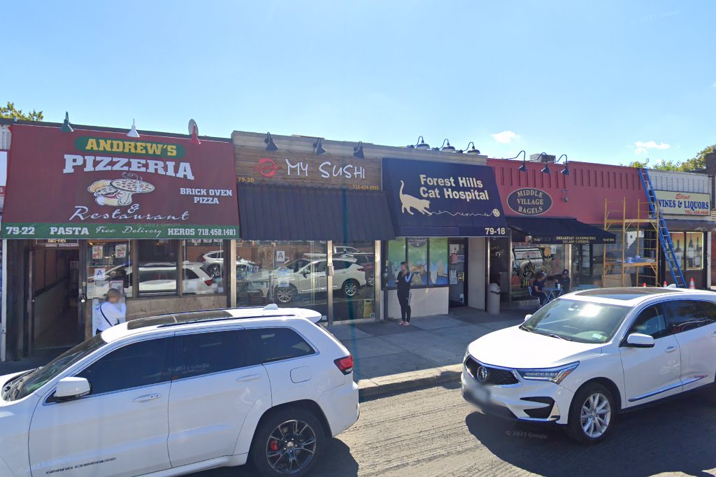 Forest Hills Cat Hospital